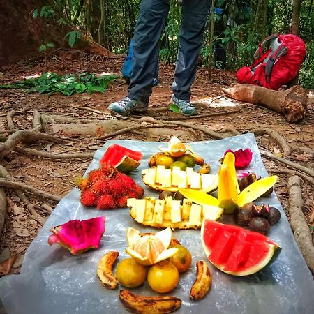 Jungle Life Guest House - Trekking & Transport Only Book With Us Bukit Lawang Exterior foto