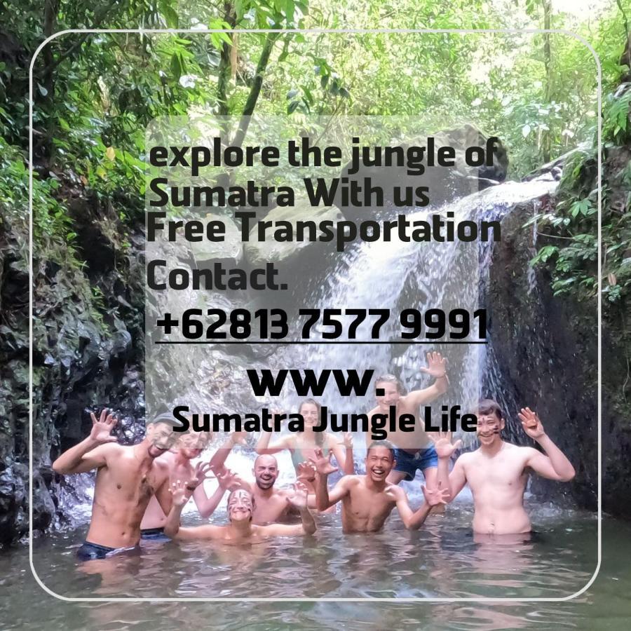 Jungle Life Guest House - Trekking & Transport Only Book With Us Bukit Lawang Exterior foto