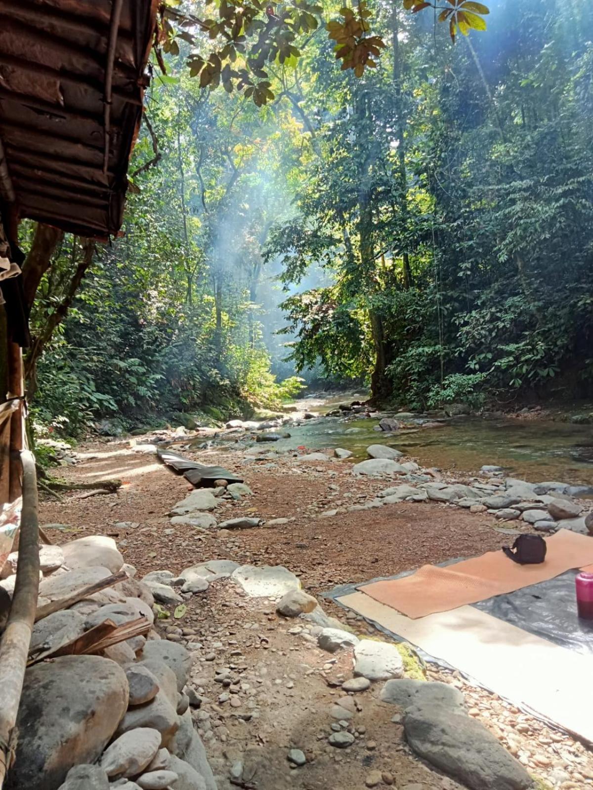 Jungle Life Guest House - Trekking & Transport Only Book With Us Bukit Lawang Exterior foto