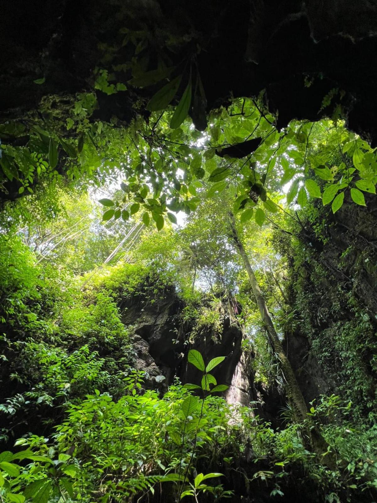 Jungle Life Guest House - Trekking & Transport Only Book With Us Bukit Lawang Exterior foto