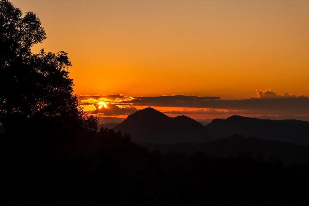 Jungle Life Guest House - Trekking & Transport Only Book With Us Bukit Lawang Exterior foto