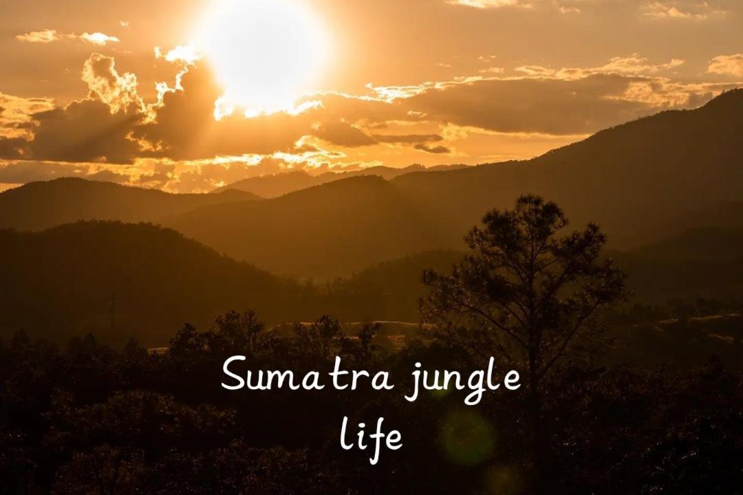 Jungle Life Guest House - Trekking & Transport Only Book With Us Bukit Lawang Exterior foto