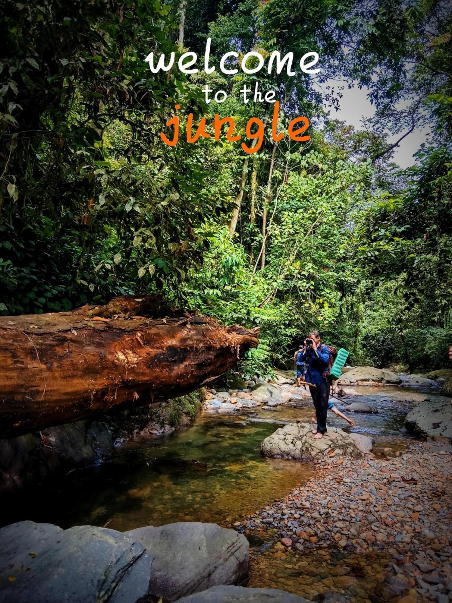 Jungle Life Guest House - Trekking & Transport Only Book With Us Bukit Lawang Exterior foto