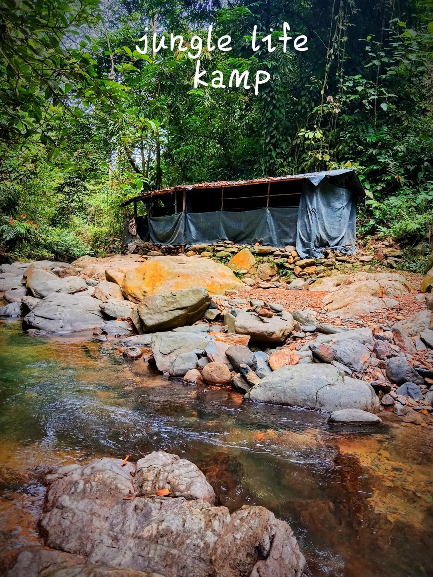Jungle Life Guest House - Trekking & Transport Only Book With Us Bukit Lawang Exterior foto