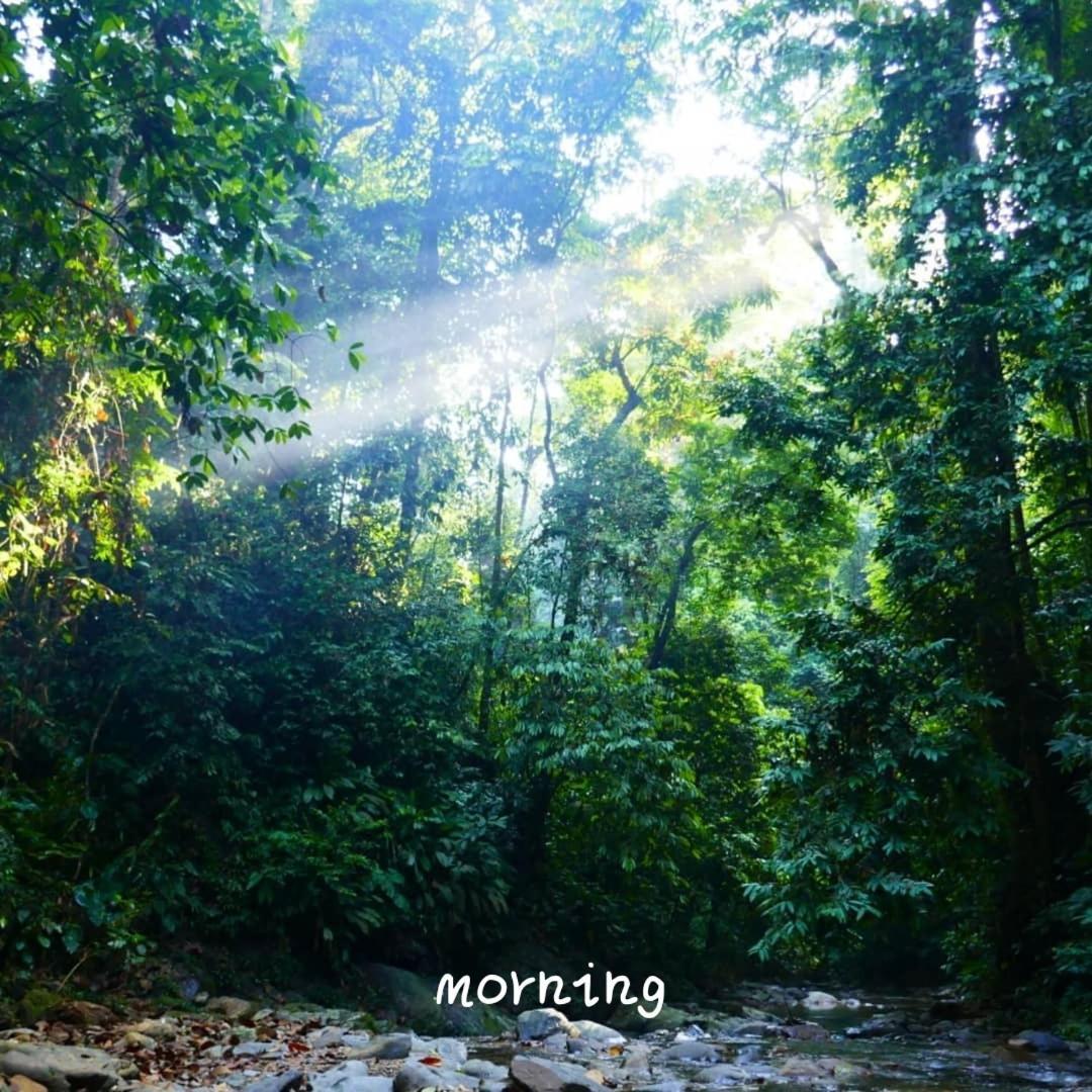 Jungle Life Guest House - Trekking & Transport Only Book With Us Bukit Lawang Exterior foto