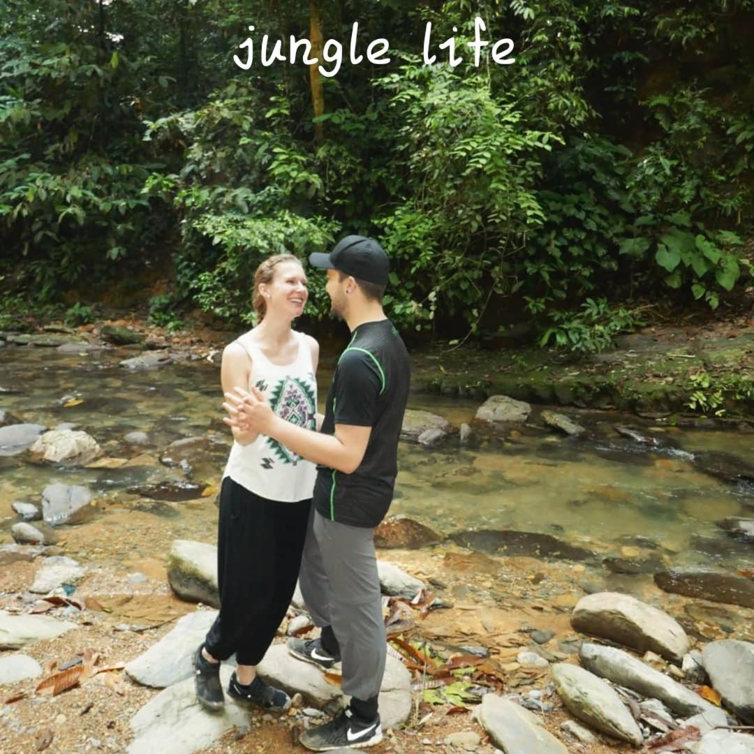 Jungle Life Guest House - Trekking & Transport Only Book With Us Bukit Lawang Exterior foto