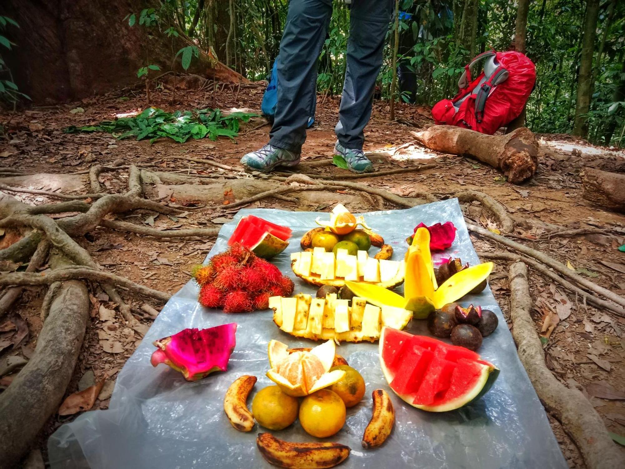 Jungle Life Guest House - Trekking & Transport Only Book With Us Bukit Lawang Exterior foto