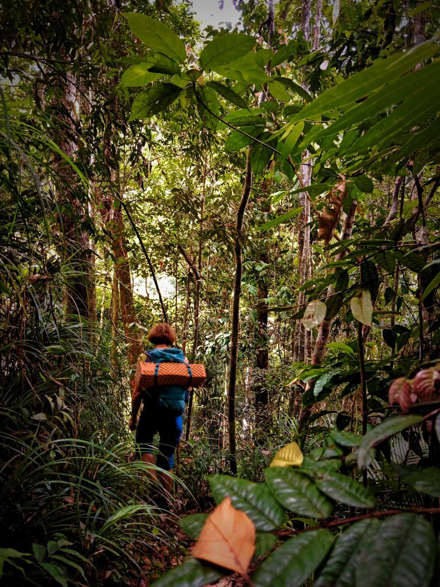 Jungle Life Guest House - Trekking & Transport Only Book With Us Bukit Lawang Exterior foto