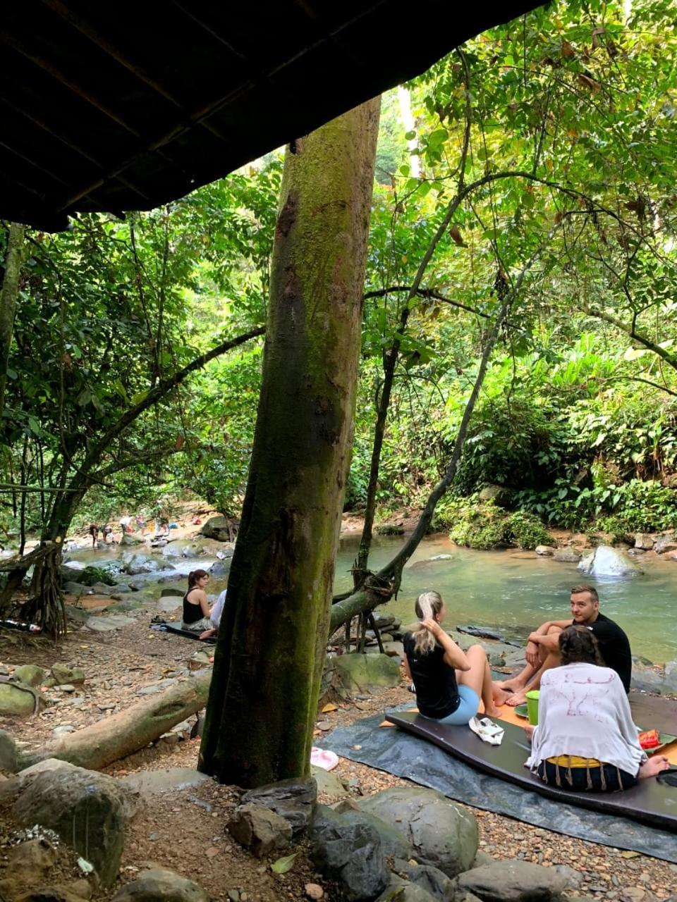 Jungle Life Guest House - Trekking & Transport Only Book With Us Bukit Lawang Exterior foto